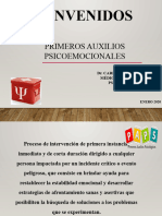 Primeros Auxilios Psicologicos