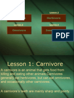 Carnivore Omnivore Herbivore
