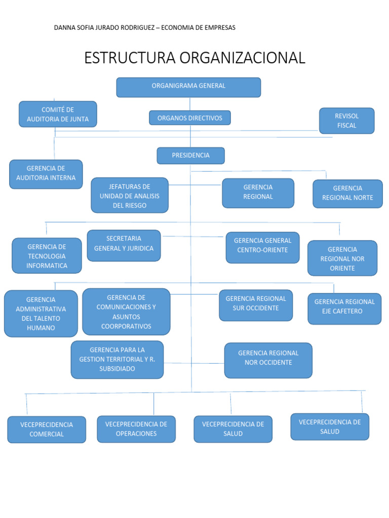 Estructura Organizacional Economia de Empresas | PDF | Auditoría | Business