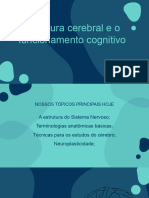 Estrutura Cerebral e o Funcionamento Cognitivo: Priscila Tomasi Torres