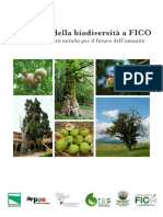 FruttetoBiodiversitaFicoWEB Ita