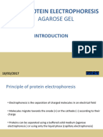 Introduction Gel Protein Technique - GB 21MAR17