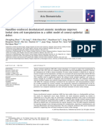 Nanofiber-Reinforced Decellularized Amniotic Membrane Improves Limbal Stem Cell Transplantation in A Rabbit Model of Corneal Epithelial Defect