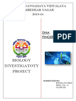 DNA Fingerprinting Class 12th Investigatory Project