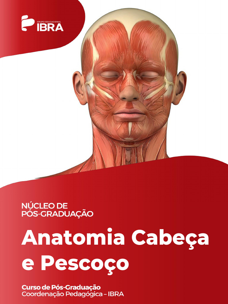 Anatomia cabe a e pesco o pdf cr nio sistema locomotor