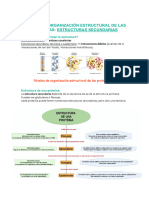 Tema 3. Estructura de Las Proteínas