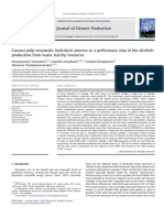 Cassava pulp enzymatic hydrolysis process as a preliminary step in bio-alcohols