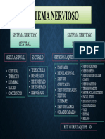 Sistema Nervioso - RC