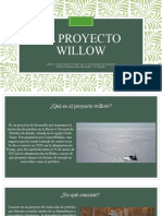 El Proyecto Willow - Skarlett Tapia
