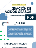 Β-oxidación de Ácidos Grasos