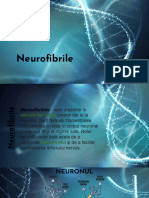 Neurofibrile