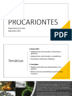 PROCARIONTES