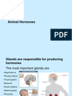 Animal Hormones