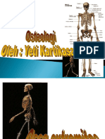 Osteologi Ekstremitas Atas-Bawah