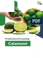 Calamansi Final