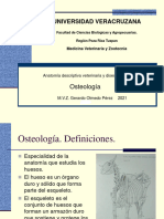Atlas De Osteologia I Esqueleto Equino Pdf Vértebra Anatomía Humana