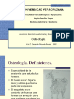 2.-Presentación Osteologia