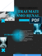 Traumatismo Renal