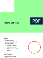 Renal System