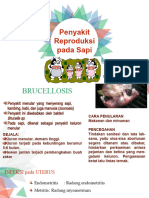 Penyakit Reproduksi