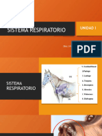 Sistema Respiratorio Patologia Sistemica