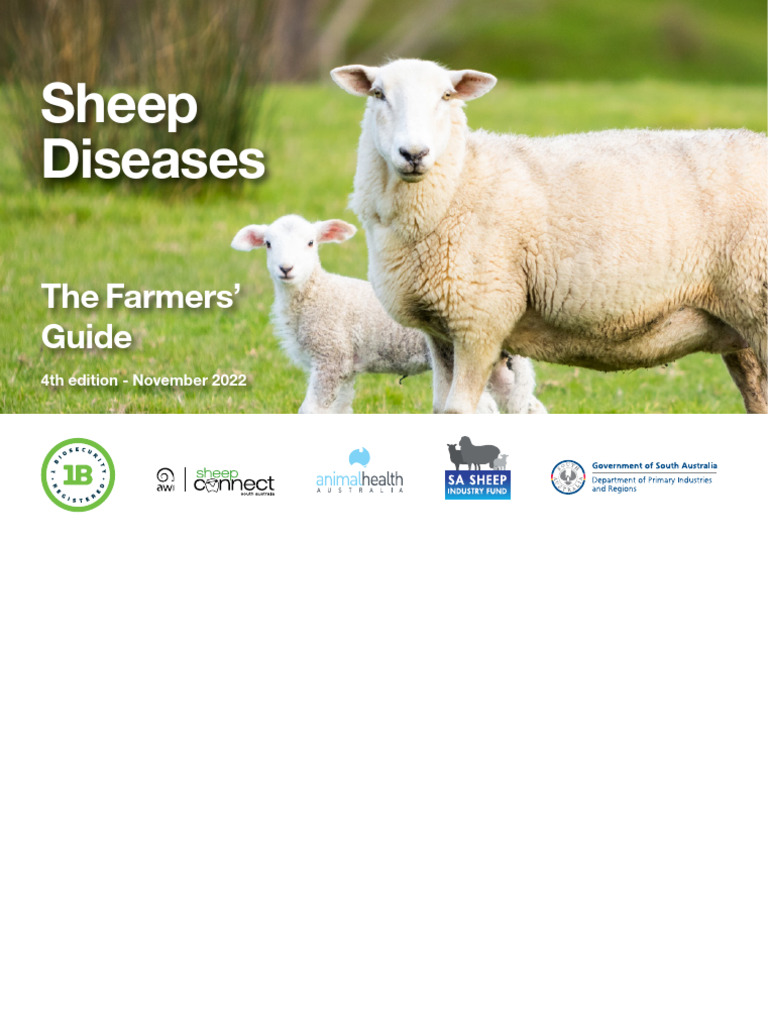 Sheep Diseases Farmers Guide PDF Sheep Anthrax