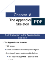 Appendicular Skeleton