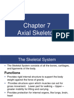 Axial Skeleton