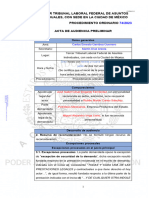 Acta Audiencia Preliminar