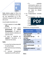 Semana 3 FISIOLOGIA IV