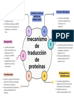 Mecanismo de Traduccion de Proteinas