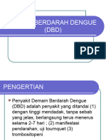 Demam Berdarah Dengue (DBD)