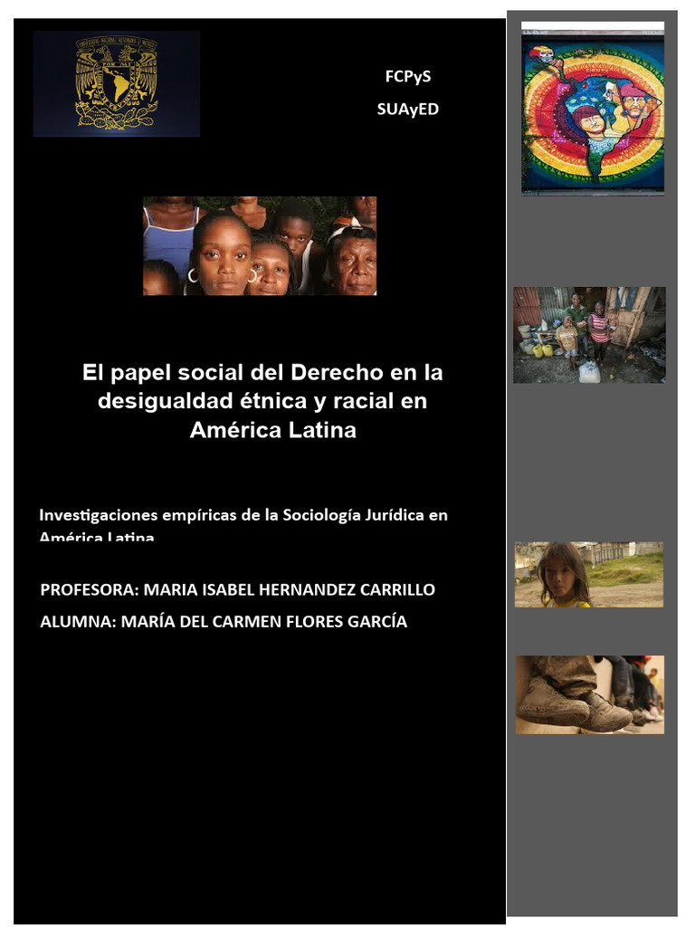 María Del Carmen Flores - Proyecto Final | PDF | Raza (categorización ...