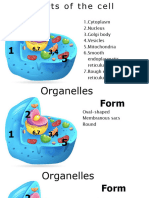 Les Organites