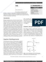 Methanogenesis Biochemistry: James G Ferry