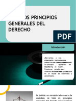 Principios Del Derecho