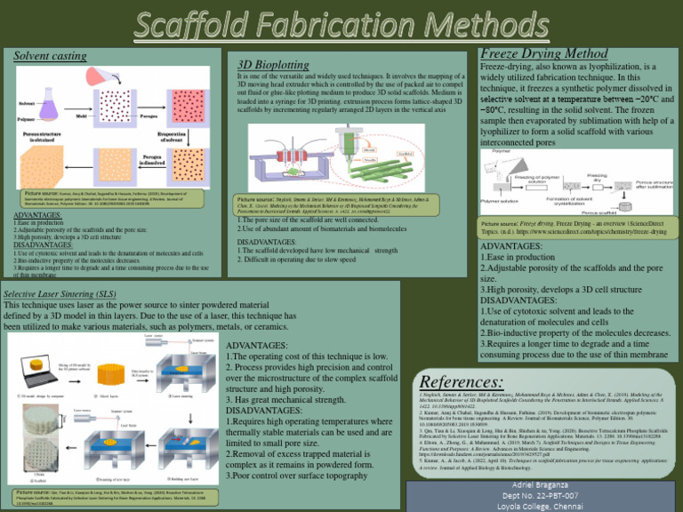 Scaffold Fabrication Techniques Overview | PDF | Tissue Engineering ...