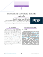 BAB VI - Toxoplasmosis in Wild and Domestic Animals