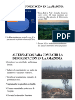 Taza de Deforestación en La Amazonia