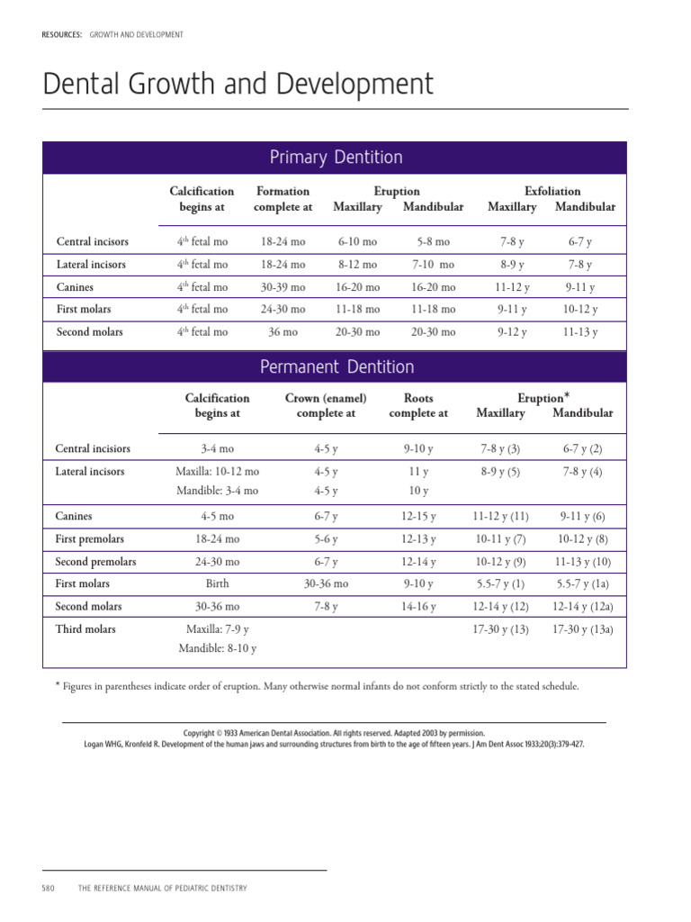 Dental Growth and Development | PDF | Dentistry | Animal Anatomy