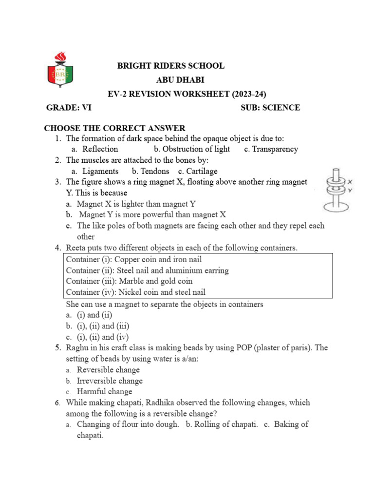 Grade 6 EV 2 - Revision Worksheet | PDF | Magnet | Physical Sciences
