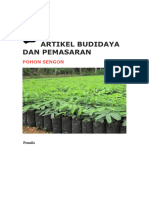 Artikel Budidaya Dan Pemasaran Sendy