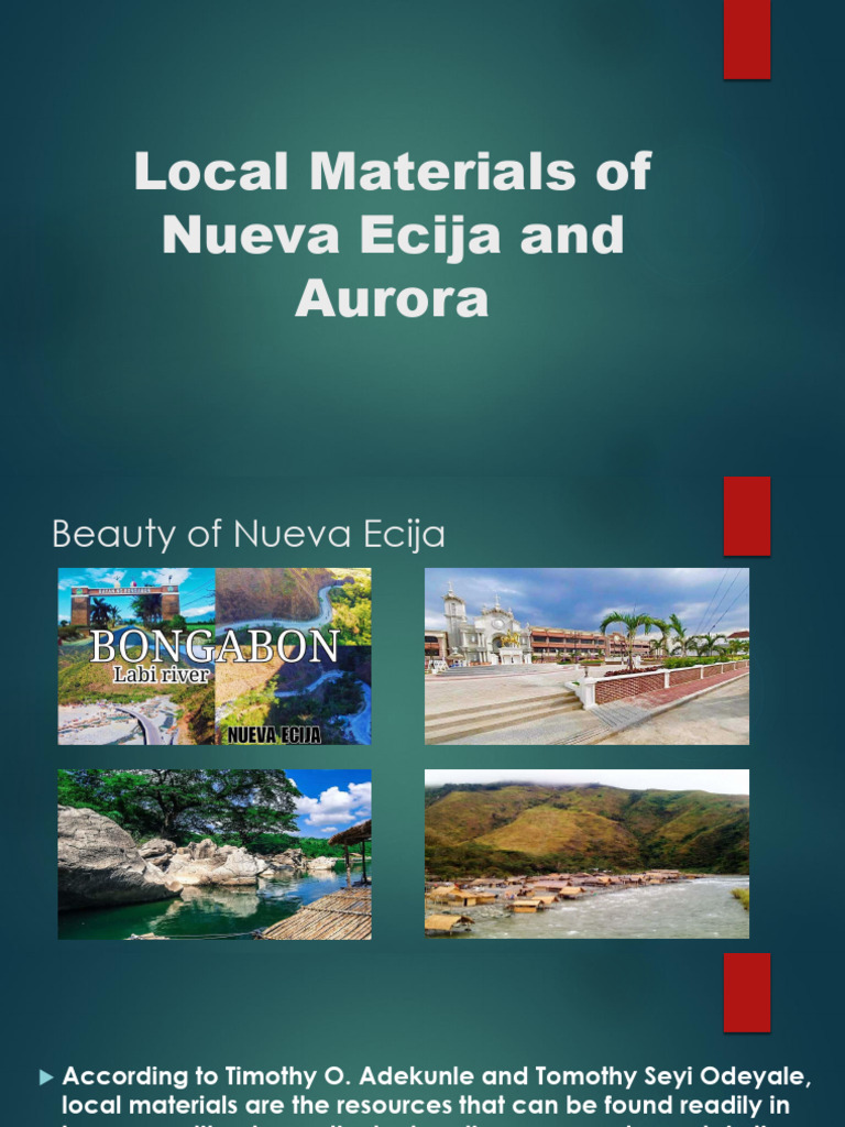 Local Materials of Nueva Ecija and Aurora PDF Bamboo Plants
