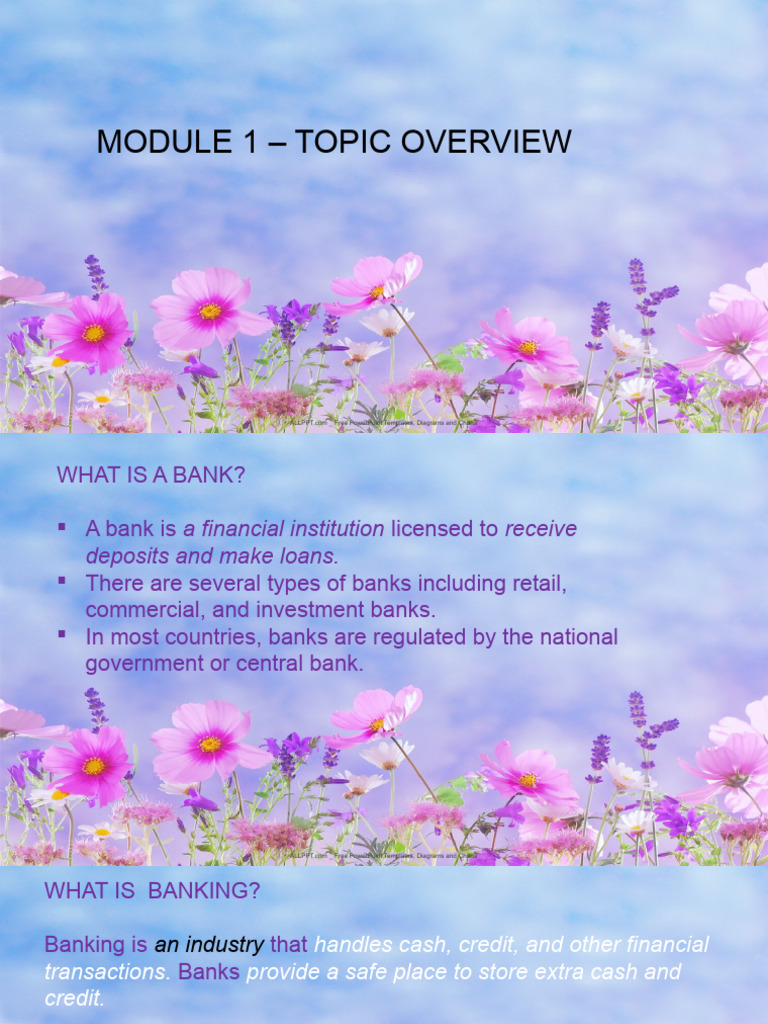 Module 1 Banking Topic Overview PDF
