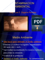 Contaminacion Ambiental 1