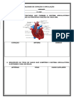 Especialidade de Coracao e Circulacao 1