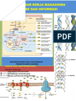 Lembar Kerja Mahasiswa Metabolisme Dan Informasi Genetik: Kontruktivisme Lima Fase Needham Problem Based Learning