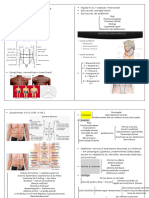 Habilidades Médicass