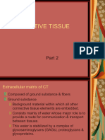 Connective Tissue Part 2