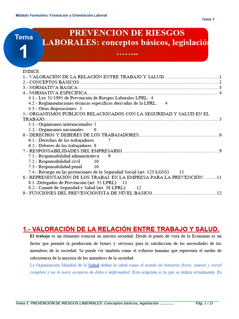 Prevencion de Riesgos Laborales | PDF | Derecho laboral | Organización ...